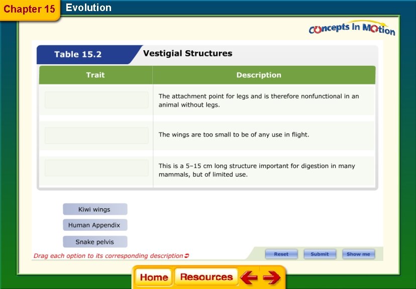 Chapter 15 Evolution 