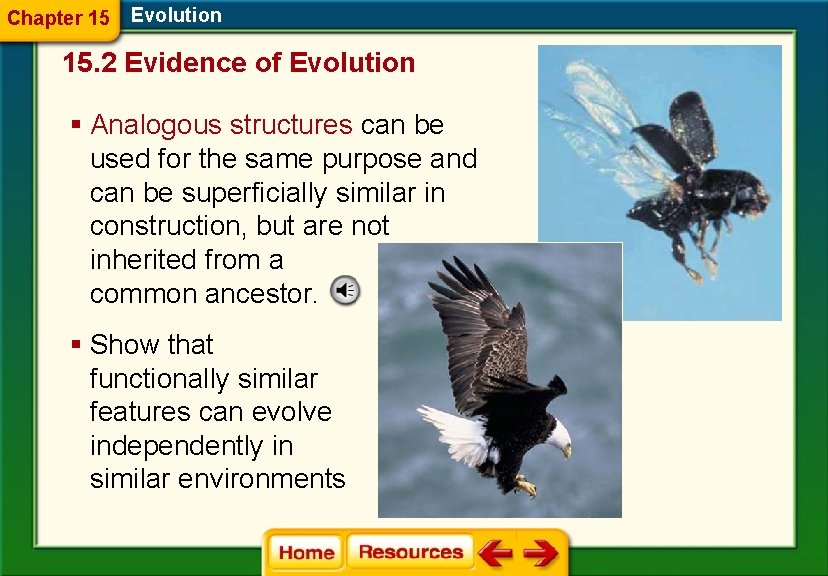 Chapter 15 Evolution 15. 2 Evidence of Evolution § Analogous structures can be used