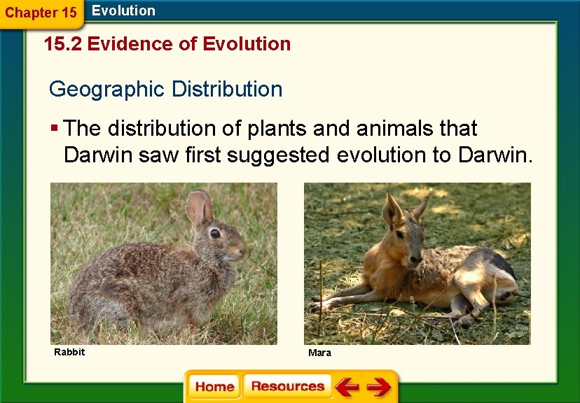 Chapter 15 Evolution 15. 2 Evidence of Evolution Geographic Distribution § The distribution of