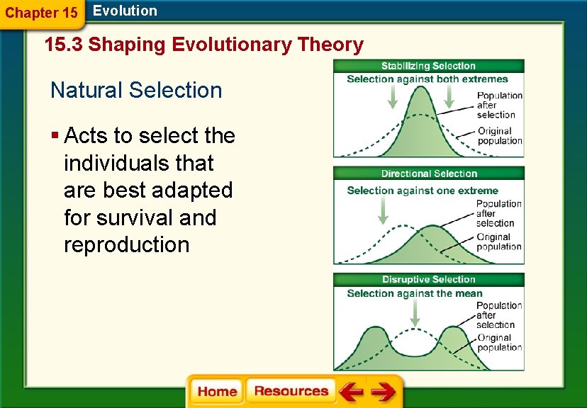 Chapter 15 Evolution 15. 3 Shaping Evolutionary Theory Natural Selection § Acts to select