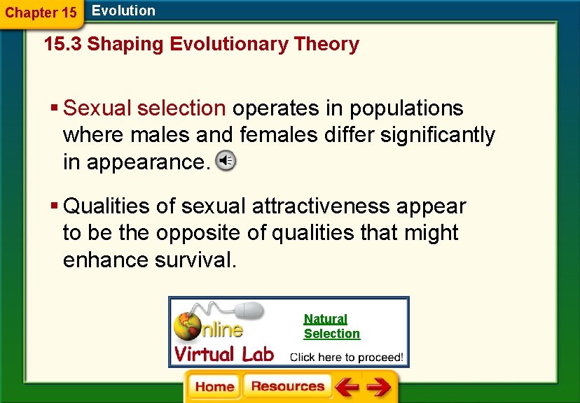 Chapter 15 Evolution 15. 3 Shaping Evolutionary Theory § Sexual selection operates in populations