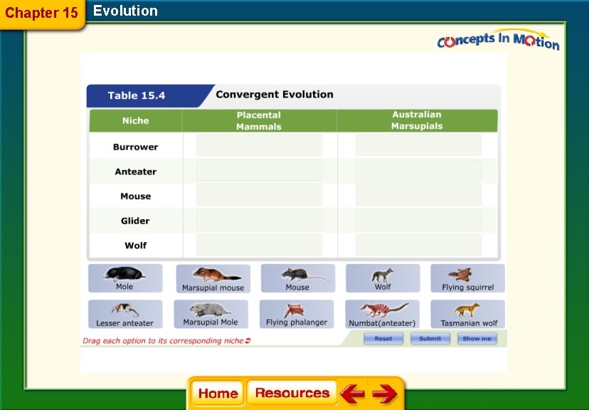 Chapter 15 Evolution 