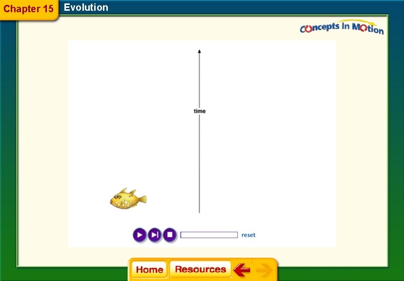 Chapter 15 Evolution 