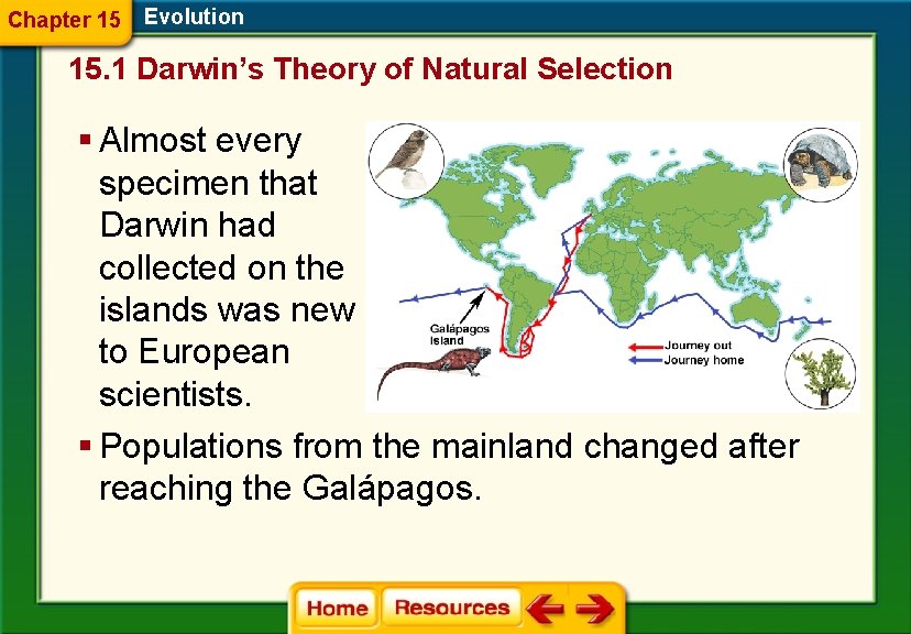 Chapter 15 Evolution 15. 1 Darwin’s Theory of Natural Selection § Almost every specimen