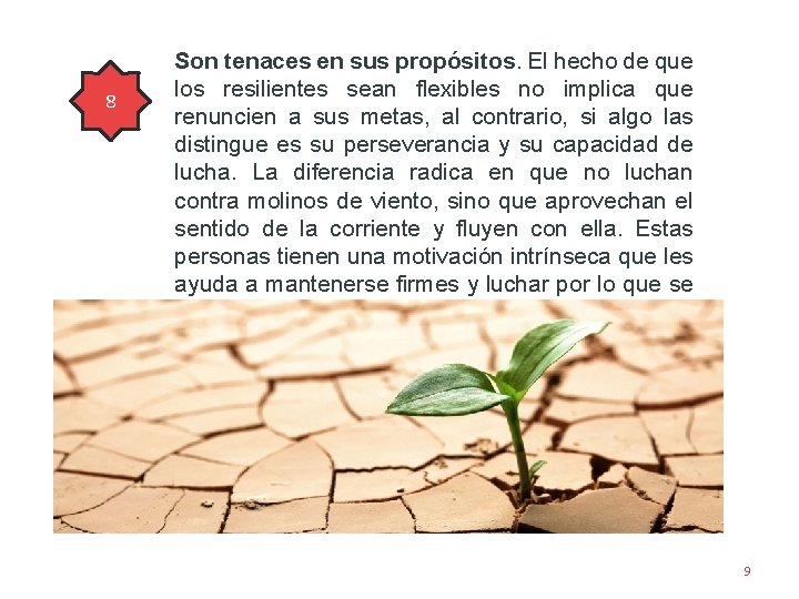 89 Son tenaces en sus propósitos. El hecho de que los resilientes sean flexibles