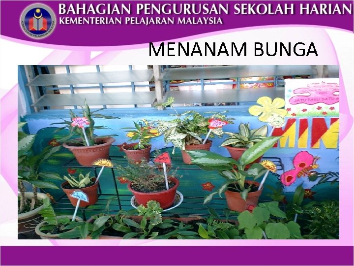 MENANAM BUNGA 