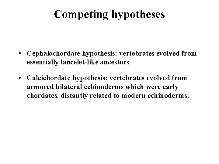 Competing hypotheses • Cephalochordate hypothesis: vertebrates evolved from essentially lancelet-like ancestors • Calcichordate hypothesis: