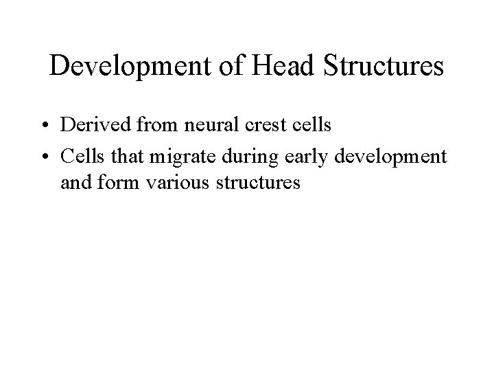 Development of Head Structures • Derived from neural crest cells • Cells that migrate