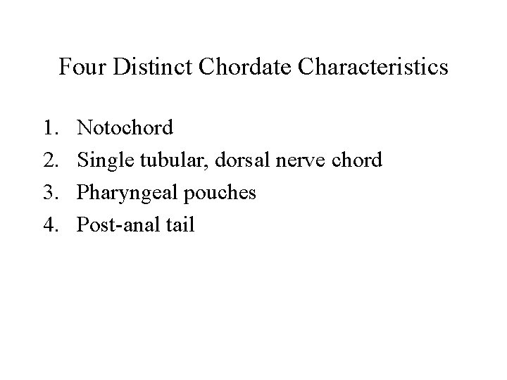 Four Distinct Chordate Characteristics 1. 2. 3. 4. Notochord Single tubular, dorsal nerve chord