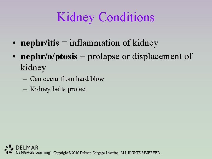 Kidney Conditions • nephr/itis = inflammation of kidney • nephr/o/ptosis = prolapse or displacement