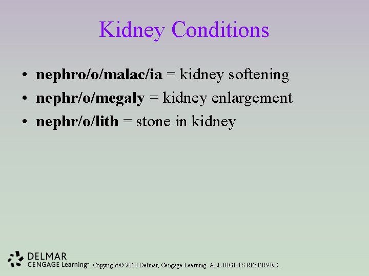 Kidney Conditions • nephro/o/malac/ia = kidney softening • nephr/o/megaly = kidney enlargement • nephr/o/lith