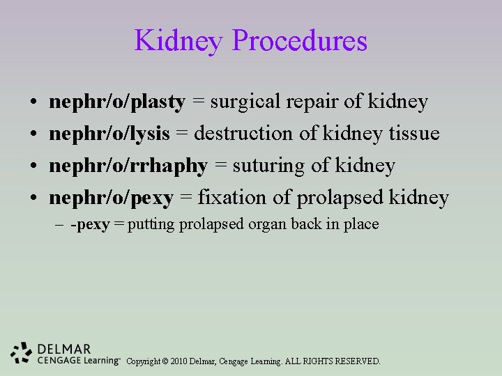 Kidney Procedures • • nephr/o/plasty = surgical repair of kidney nephr/o/lysis = destruction of