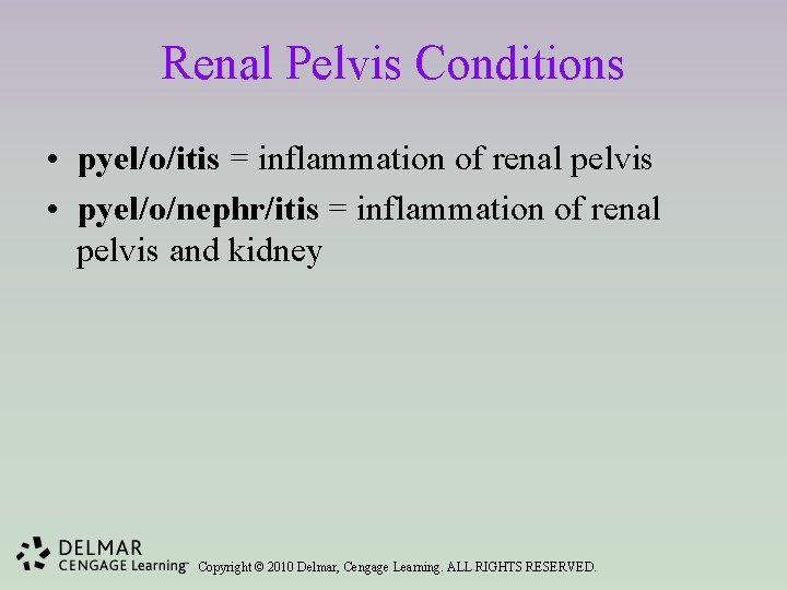 Renal Pelvis Conditions • pyel/o/itis = inflammation of renal pelvis • pyel/o/nephr/itis = inflammation