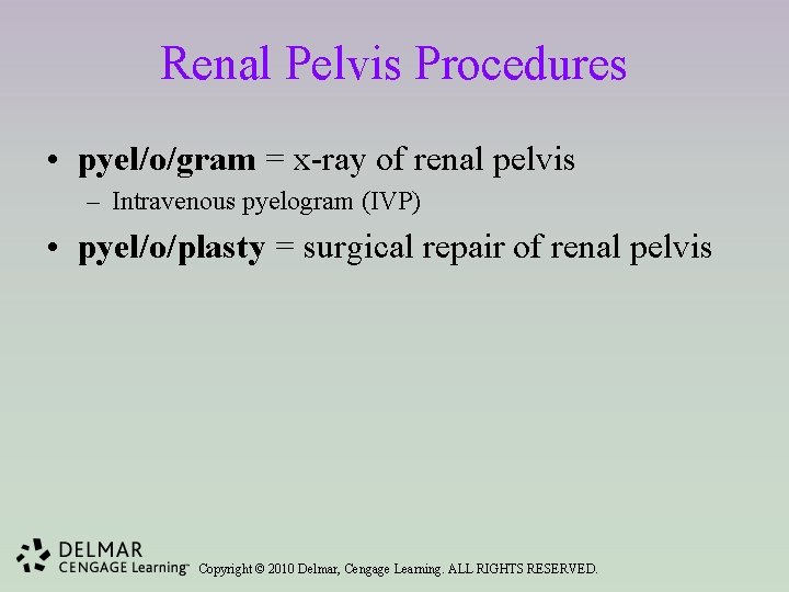 Renal Pelvis Procedures • pyel/o/gram = x-ray of renal pelvis – Intravenous pyelogram (IVP)