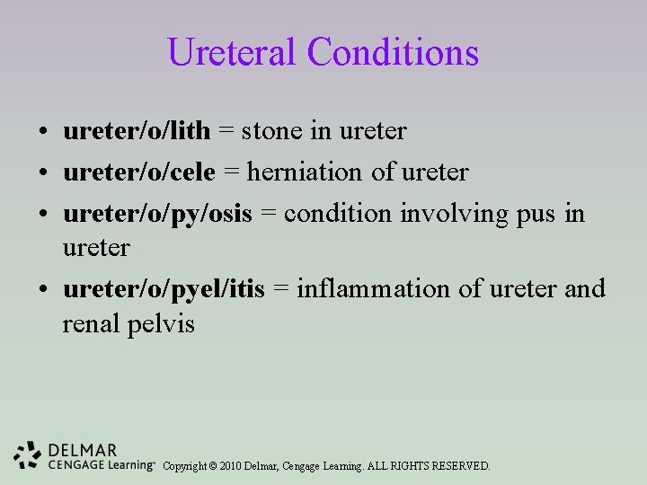 Ureteral Conditions • ureter/o/lith = stone in ureter • ureter/o/cele = herniation of ureter