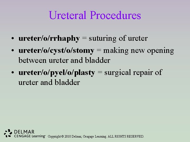 Ureteral Procedures • ureter/o/rrhaphy = suturing of ureter • ureter/o/cyst/o/stomy = making new opening