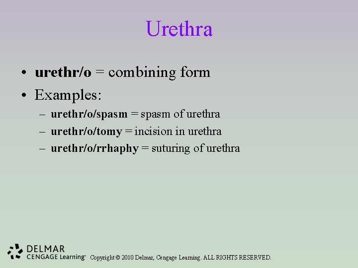 Urethra • urethr/o = combining form • Examples: – urethr/o/spasm = spasm of urethra