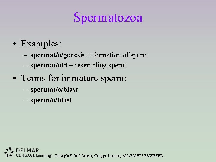 Spermatozoa • Examples: – spermat/o/genesis = formation of sperm – spermat/oid = resembling sperm