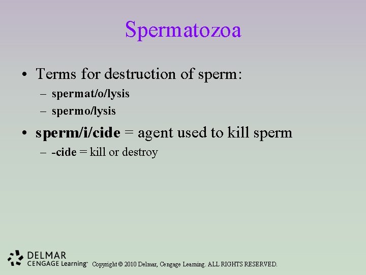 Spermatozoa • Terms for destruction of sperm: – spermat/o/lysis – spermo/lysis • sperm/i/cide =