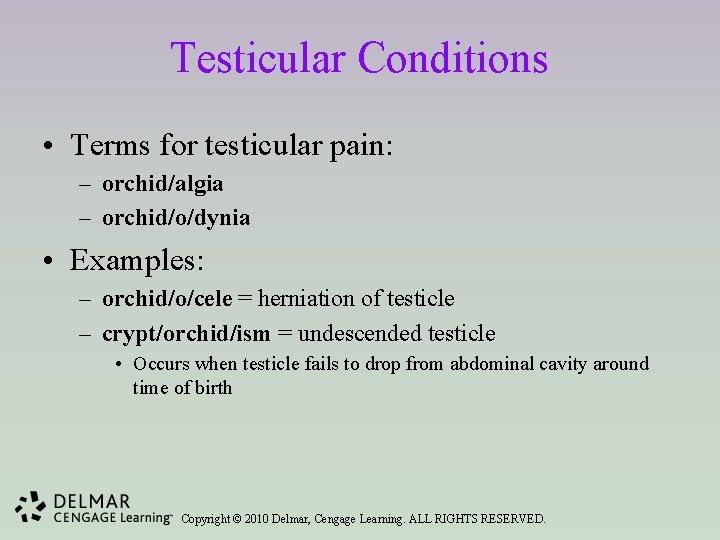 Testicular Conditions • Terms for testicular pain: – orchid/algia – orchid/o/dynia • Examples: –