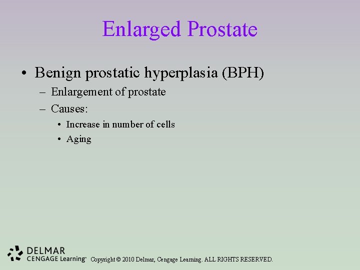 Enlarged Prostate • Benign prostatic hyperplasia (BPH) – Enlargement of prostate – Causes: •