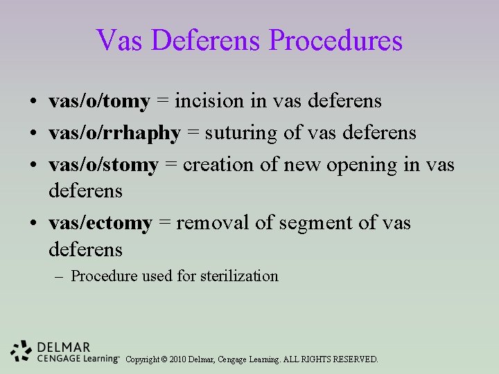 Vas Deferens Procedures • vas/o/tomy = incision in vas deferens • vas/o/rrhaphy = suturing