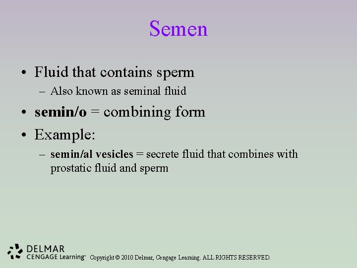 Semen • Fluid that contains sperm – Also known as seminal fluid • semin/o