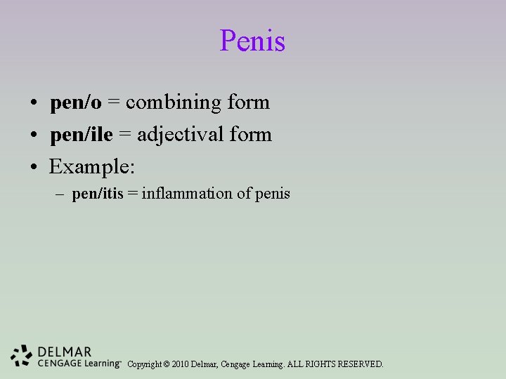 Penis • pen/o = combining form • pen/ile = adjectival form • Example: –