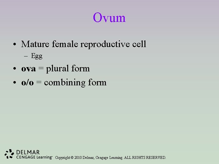 Ovum • Mature female reproductive cell – Egg • ova = plural form •