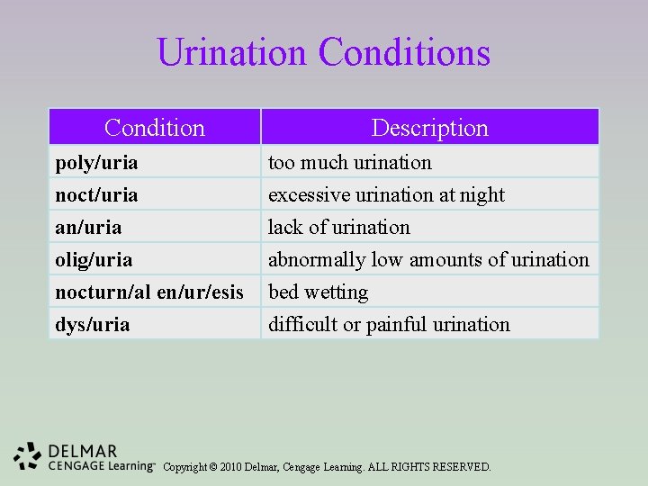 Urination Conditions Condition Description poly/uria noct/uria an/uria olig/uria nocturn/al en/ur/esis dys/uria too much urination