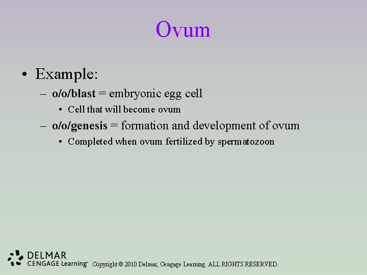 Ovum • Example: – o/o/blast = embryonic egg cell • Cell that will become