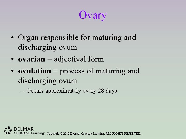 Ovary • Organ responsible for maturing and discharging ovum • ovarian = adjectival form