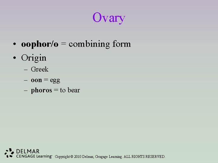 Ovary • oophor/o = combining form • Origin – Greek – oon = egg