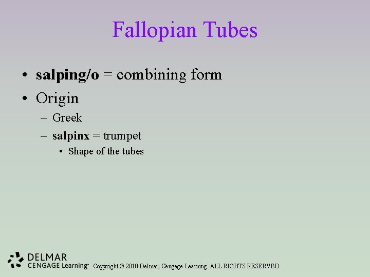 Fallopian Tubes • salping/o = combining form • Origin – Greek – salpinx =