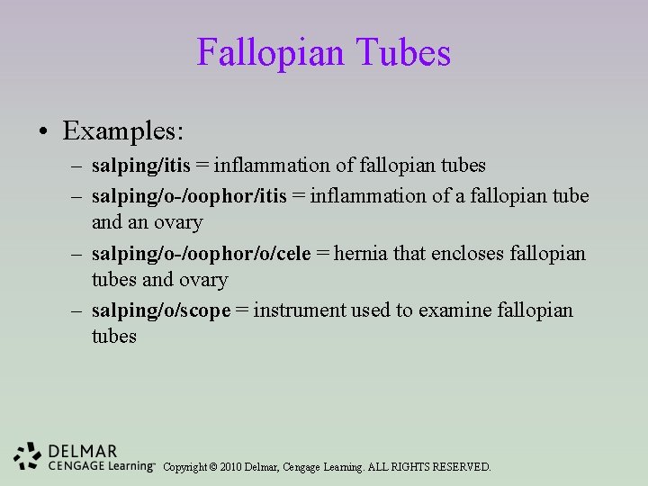 Fallopian Tubes • Examples: – salping/itis = inflammation of fallopian tubes – salping/o-/oophor/itis =