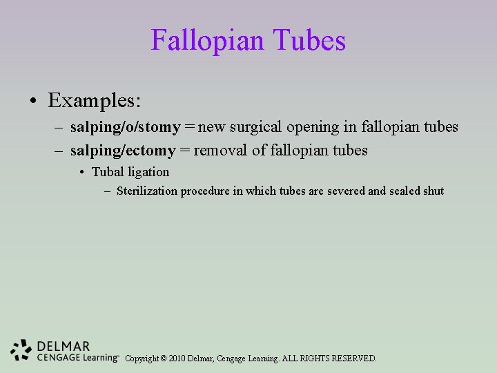 Fallopian Tubes • Examples: – salping/o/stomy = new surgical opening in fallopian tubes –