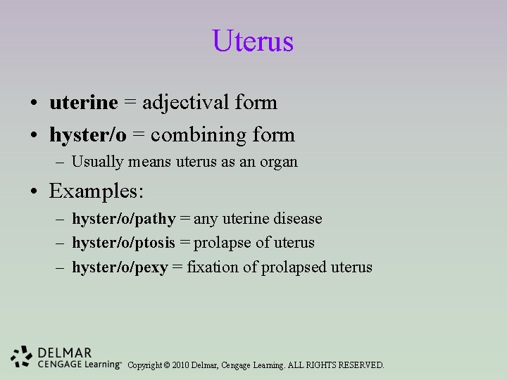 Uterus • uterine = adjectival form • hyster/o = combining form – Usually means