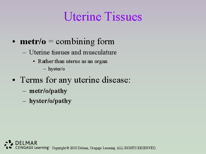 Uterine Tissues • metr/o = combining form – Uterine tissues and musculature • Rather