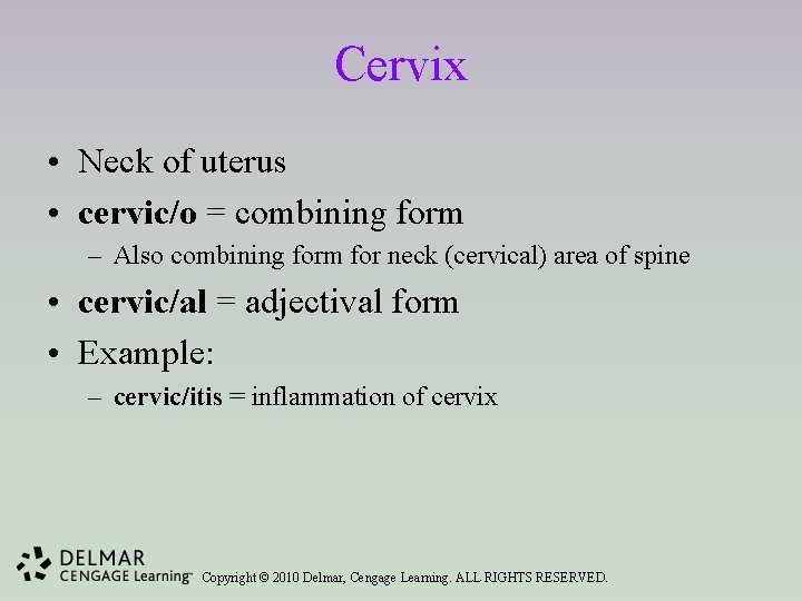 Cervix • Neck of uterus • cervic/o = combining form – Also combining form
