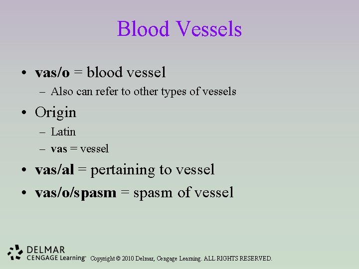 Blood Vessels • vas/o = blood vessel – Also can refer to other types