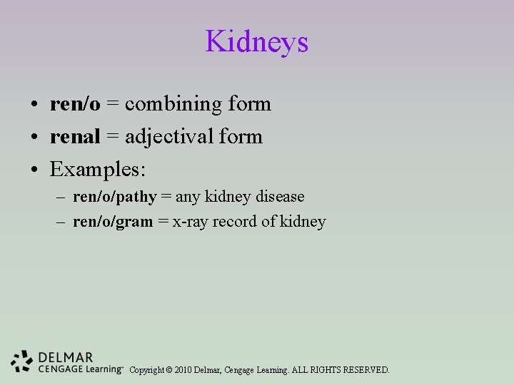 Kidneys • ren/o = combining form • renal = adjectival form • Examples: –