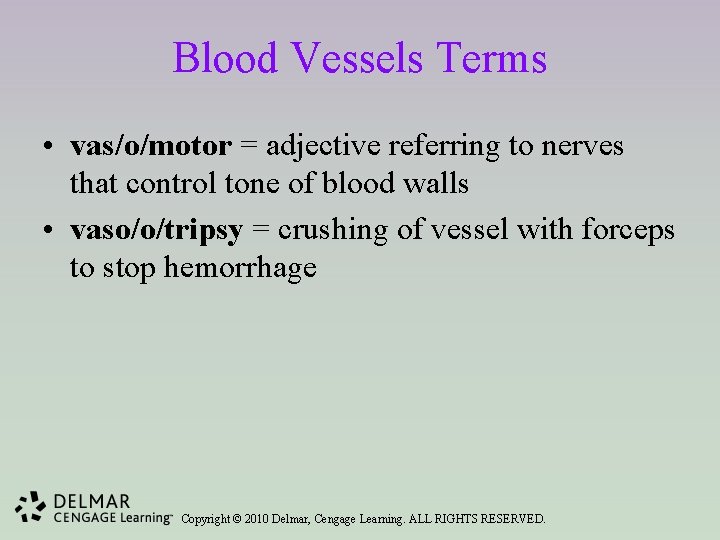 Blood Vessels Terms • vas/o/motor = adjective referring to nerves that control tone of