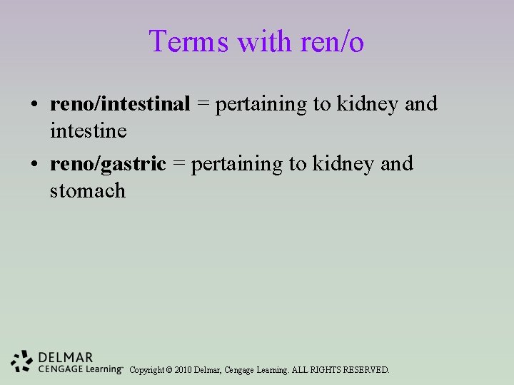 Terms with ren/o • reno/intestinal = pertaining to kidney and intestine • reno/gastric =