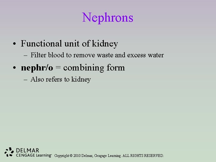 Nephrons • Functional unit of kidney – Filter blood to remove waste and excess