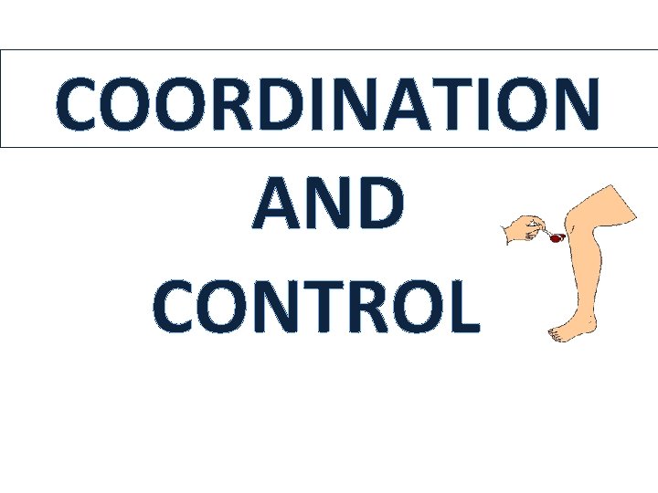 COORDINATION AND CONTROL COORDINATION AND CONTROL