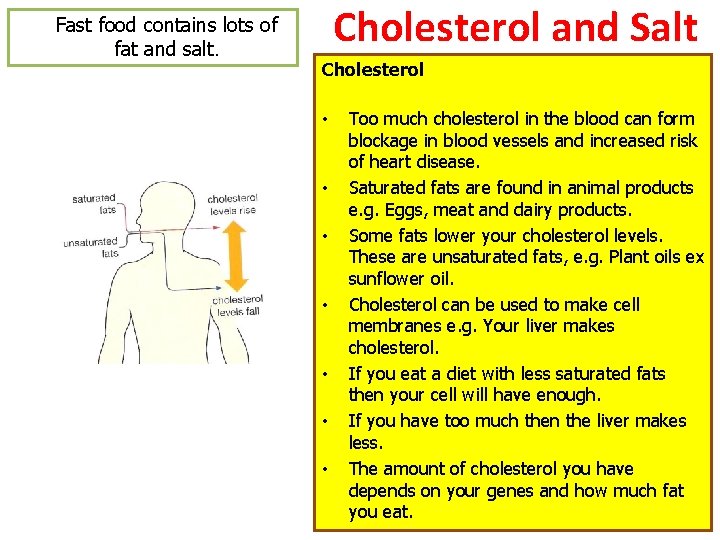 Fast food contains lots of fat and salt. Cholesterol and Salt Cholesterol • • Fast food contains lots of fat and salt. Cholesterol and Salt Cholesterol • •