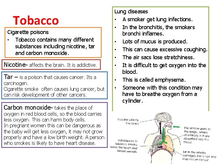 Tobacco Cigarette poisons • Tobacco contains many different substances including nicotine, tar and carbon Tobacco Cigarette poisons • Tobacco contains many different substances including nicotine, tar and carbon