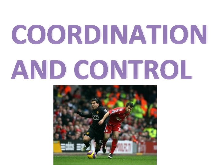 COORDINATION AND CONTROL COORDINATION AND CONTROL