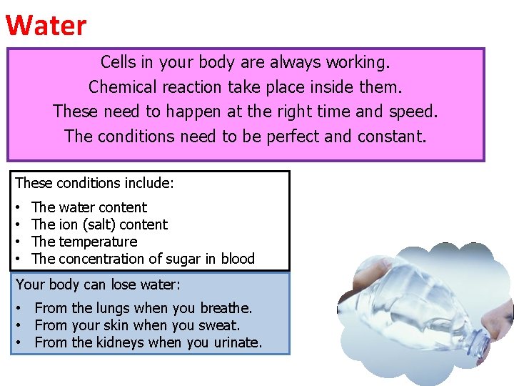 Water Cells in your body are always working. Chemical reaction take place inside them. Water Cells in your body are always working. Chemical reaction take place inside them.