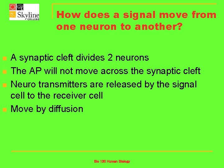 How does a signal move from one neuron to another? n n A synaptic
